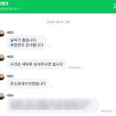 하얀강아지 | 🐾 유기견 보호소 헌수건 기부 후기 &amp; 현실 꿀팁 / 익산 하얀강아지 보호소