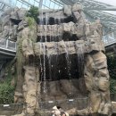 사랑샘공원 | 포항 환호공원 식물원 아이랑 산책하기 너무 좋았던곳