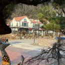 상사의숲 이미지