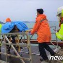 완도10호 이미지