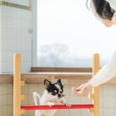 동탄호수유치원 이미지