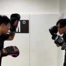 ART OF MMA 도산점 이미지