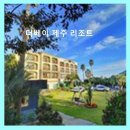 문필펜션 | 제주 서귀포 바다 전망 펜션 더베이 제주 리조트 조식 여부·주차 편리 정보 포함