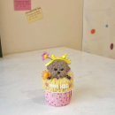 댕수무강 이미지