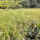 수지면 등동마을 이미지