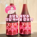 세븐일레븐 부안온리뷰점 | 윤남노 복담주 후기! 세븐일레븐 가격, 구매방법, 맛 솔직 리뷰