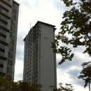 해솔마을 11단지 이미지