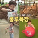 룰루투어 | 파주 나들이 추천 국내 6월 여행지 룰루목장 아이와 체험 후기
