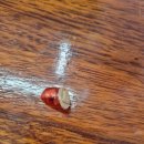 보청기마트 | 대구중구보청기 배터리 교체하러 보청기마트 다녀온 후기