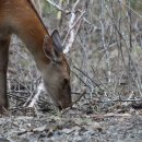 S모터스 이미지