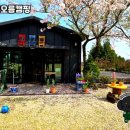 골체오름캠핑 네이버블로그