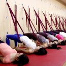 건강요가(월) 이미지