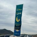 세종 이응다리 달빛배 후기(만원 쿠폰 겟겟)