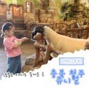 새충북어린이집 | 청주실내동물원 쥬니멀 동물복지 되는 만족도 높은 곳 아이와 방문 후 찐후기
