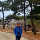 💟제164차 눈꽃열차 (철암역 ~분천역)소수서원탐방 사진 2026년1월18일(일) 💟 이미지