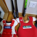 SSG랜더스 지급 하타케야마,고바야시오더 포수장비로 교환해요 이미지