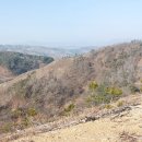 묵호항 북방파제 이미지