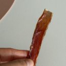 강아지나라 | 노견부터 대형견까지, 튜나라라 강아지 참치간식 수제간식 추천