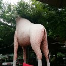 기린카페 이미지