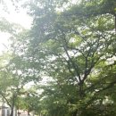 영등포구 신길6동주민센터 이미지