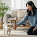 행복한산책 동물병원 이미지