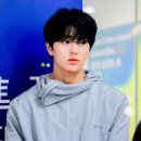 최강아지 이미지