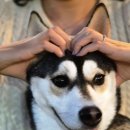 병영농장 네이버블로그