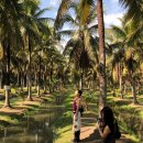 Hotel JJ | 치앙마이 진에어 레이밴 대디오 선셋요가 타이마사지 아리투어 후기 씁니다