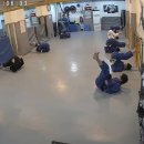 마포유도체육관 이미지