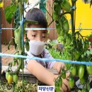 송랑유치원 이미지