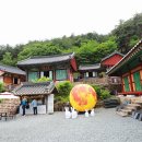 도림사 이미지