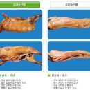 임금님진상품이였던 전남 완도군 조약도 약산 흑염소 이야기 이미지