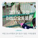 서울근교 아이와 가기 좋은 가평 아침고요동물원 먹이주기 겨울 체험 후기