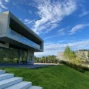 골든트리 이미지