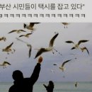 킹파크 이미지