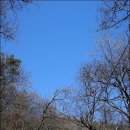 이천산수유마을 이미지