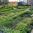 백봉목장 이미지