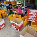 봉원축산 이미지