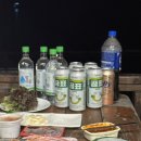 [울릉도여행]새벽크루즈 타고 떠난 2박3일 울릉도여행 🙌 (울릉도여행코스/울릉도맛집/울릉도숙소)
