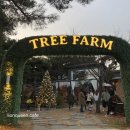 트리팜(TreeFarm)