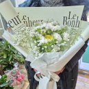 진영큐어 이미지