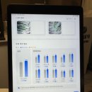 모스테틱