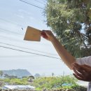 제주혁이네해장국 이미지