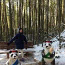 담양 죽녹원 게스트하우스 이미지