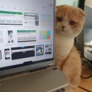 세무회계컨설팅평 네이버블로그