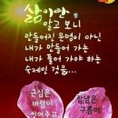 햇님 달님 이미지