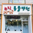 모여라동물병원 이미지