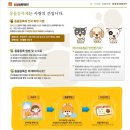 이룸동물병원 이미지