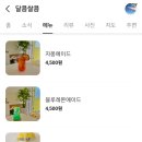 달콤쌀콤