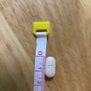 바울 | 강아지 설사 염증성 장질환 IBD 도움되는 아나포유 바울콘 후기